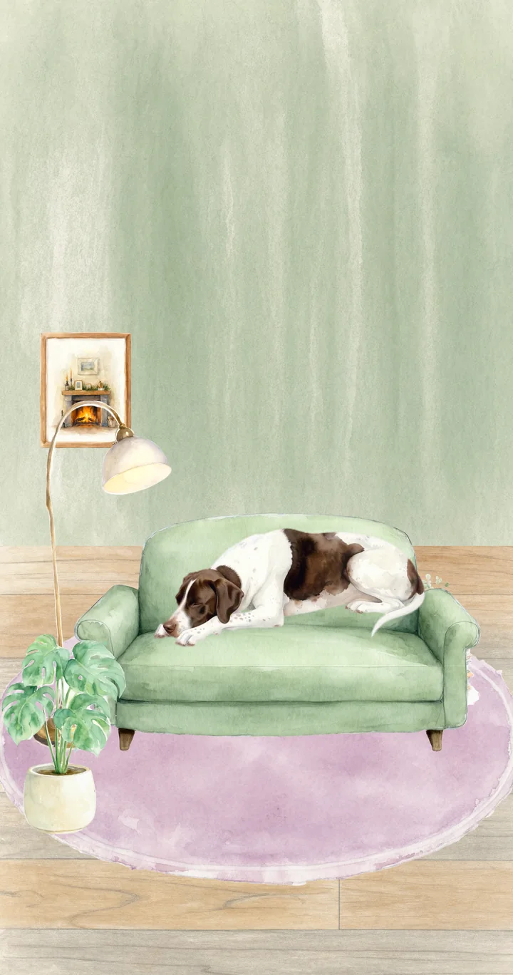 Patches asleep on the green sofa, chin down on the cushion.